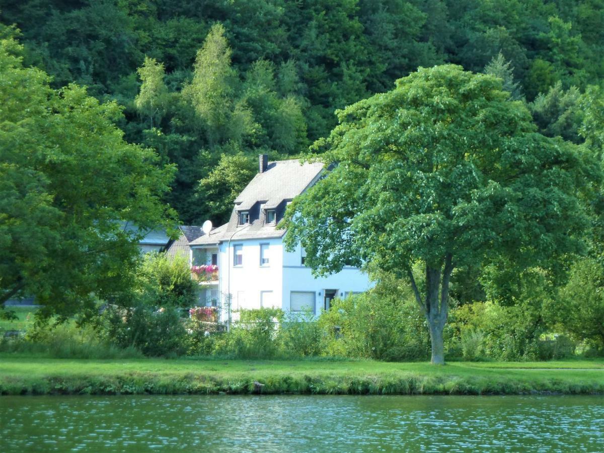 Haus Moselwiese Alf Exteriér fotografie